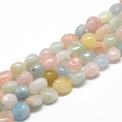 Chapelets de perles en morganite naturelle, ovale, 6~10x4~7x4~7mm, Trou: 1mm, Environ 43~62 pcs/chapelet, 15.7 pouce