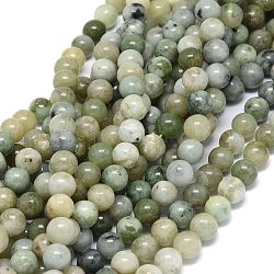 Natürliche Myanmar Jade Perlen Stränge, Runde, 8~8.5 mm, Bohrung: 1 mm, ca. 46~49 Stk. / Strang, 15.55 Zoll (39.5 cm)