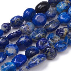 Natural Lapis Lazuli Beads Strands, Nuggets, Tumbled Stone, 5~10x4~5x3~4mm, Hole: 0.8mm, about 61pcs/strand, 15.35 inch(39cm)