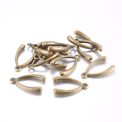 Tibetischen Stil Legierung Wunsch Knochenglücksanhänger, Bleifrei und cadmium frei, Antik Bronze, 24x15x4 mm, Bohrung: 2 mm