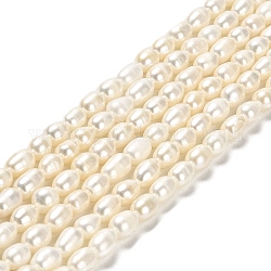 Brins de perles de culture d'eau douce naturelles, riz, niveau 2a+, blanc, 6.5~7x5~5.5mm, Trou: 0.5mm, Environ 49 pcs/chapelet, 13.86'' (35.2 cm)