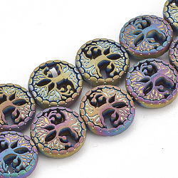Chapelets de perles en hématite synthétique sans magnétiques, Style mat, plat et circulaire avec arbre de vie, multi-couleur plaquée, 12~12.5x4~4.5mm, Trou: 1mm, Environ 32 pcs/chapelet, 15.74 pouce