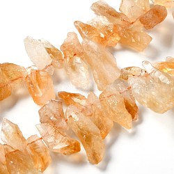 Hilos de perlas de citrina naturales crudos ásperos, pepitas, 16~33x8~15x6~12mm, agujero: 0.7 mm, aproximamente 56~57 pcs / cadena, 16.34'' (41.5 cm)