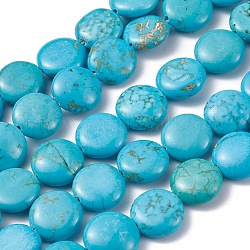 Natürliche Howlith Perlen Stränge, Flachrund, gefärbt und erhitzt, 14x5 mm, Bohrung: 1 mm, ca. 28 Stk. / Strang, 15.3 Zoll (39 cm)
