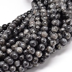Brins de perles rondes en larvikite naturelle, 6mm, Trou: 1mm, Environ 62 pcs/chapelet, 15.5 pouce