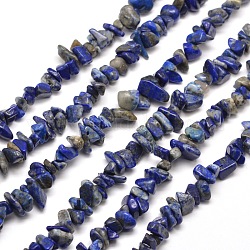 Naturales lapis lazuli hebras de abalorios de chips, 5~8x5~8mm, agujero: 1 mm, alrededor de 31.5 pulgada