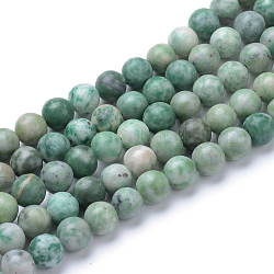 Qinghai naturelle perles de jade brins, ronde, 8~8.5mm, Trou: 1mm, Environ 47 pcs/chapelet, 15.5 pouce