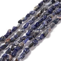 Natural Sodalite Beads Strands, Chip, 5~13x6~8x4~6mm, Hole: 1mm, 15.55''(39.5cm)