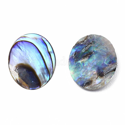 Cabochon di conchiglia abalone naturale / paua shell&nbsp;SSHEL-N034-118-1