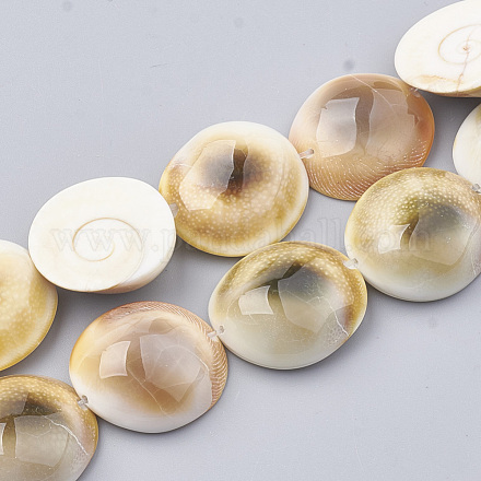 Brins de perles fossiles de coquille G-T105-28-1