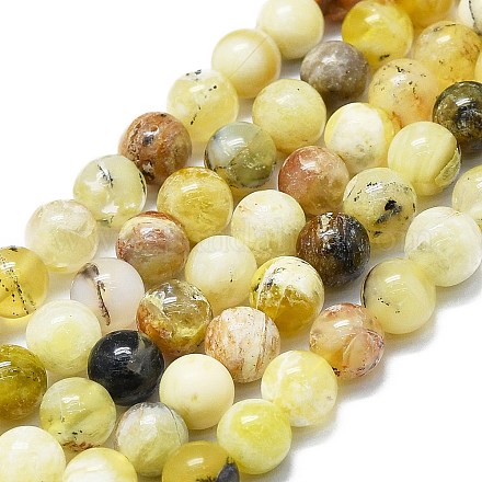 Chapelets de perles en opale jaune naturelle G-K245-A07-B03-1