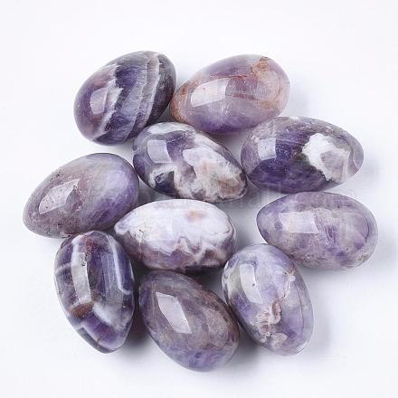 Natural Amethyst Gemstone Egg Stone G-S220-16-1