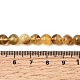 Naturbernsteinperlen Stränge&nbsp;G-K376-H01-01-5