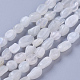 Natural White Moonstone Beads Strands X-G-P433-16-2