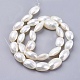 Chapelets de perles de coquille de mer BSHE-K012-02-2