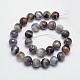 Faceted Natural Botswana Agate Round Beads Strands G-I166-01-14mm-2