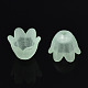 Transparentes bouchons acrylique de perles FACR-N005-002C-4