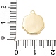 Латуни pendans KK-L217-001G-01-3