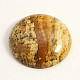 Medio redondo / domo cabuchones de piedras preciosas jaspe GP186-12-2