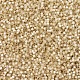 MIYUKI Delica Beads X-SEED-J020-DB0621-3