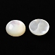 Cabuchones de conchas blancas naturales SSHEL-M022-01D-2