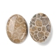 Natural Fossil Coral Cabochons G-J329-20-18x25mm-5