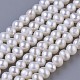 Natural Cultured Freshwater Pearl Beads Strands PEAR-E004-14-1