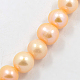 Grade A Freshwater Pearl Beads Strands A02S6027-2