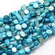 Dyed Natural Freshwater Shell Beads Strands SHEL-J003-05-1