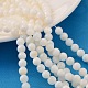 Chapelets de perles de coquillage naturel PRB001Y-1