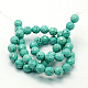Natural Howlite Beads Strands TURQ-P027-44-2
