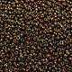 Perles rocailles miyuki rondes X-SEED-G008-RR0615-3