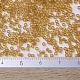 MIYUKI Delica Beads SEED-J020-DB0119-4