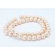 Chapelets de perles de coquille X-SP8MM218-2
