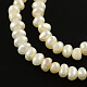 Rondelle Natural Pearl Beads Strands PEAR-R012-37-1
