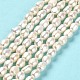 Natural Cultured Freshwater Pearl Beads Strands PEAR-E016-065-2