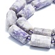 Natural Purple Turquoise Beads Strands G-K245-I09-A01-3