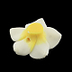 Plumeria hecha a mano de arcilla polimérica flor 3D abalorios CLAY-Q192-20mm-14-2
