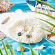 Benecreat 10 pièces coquille d'ormeau naturel/perles de coquille de paua SSHEL-BC0001-21-5