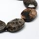 Natural Fossil Coral Beads Strands G-K180-F02-3
