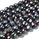 Natural Cultured Freshwater Pearl Beads Strands PEAR-E017-42-1