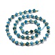 Natural Apatite Beads Strands G-P463-29-3
