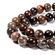 Natural Petrified Wood Round Bead Strands G-F266-08-14mm-3