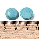 Synthetik Türkiscabochons&nbsp;G-P393-R64-12MM-3