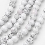 Chapelets de perles en howlite naturelle, ronde, 10mm, Trou: 1mm, Environ 39 pcs/chapelet, 15.2 pouce
