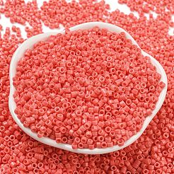 Perle di vetro per la cottura di vernici&nbsp;SEED-S042-05A-31