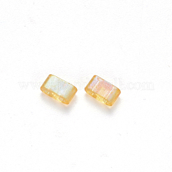 Perles de verre transparentes à peindre à 2 trou fgb&nbsp;X-SEED-S031-M-251