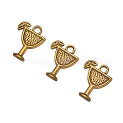Pendentifs en alliage de boisson tropicale de style tibétain&nbsp;X-TIBEB-A14275-AG-LF