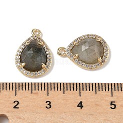 Pendentifs en forme de larme à facettes en labradorite naturelle&nbsp;X-G-U028-02G-06
