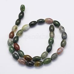 Natur Indien Achat Perlen Stränge&nbsp;G-G697-G02-8x12mm